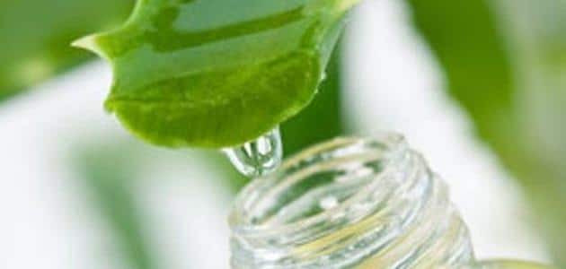 benefits of aloe vera oil for hair